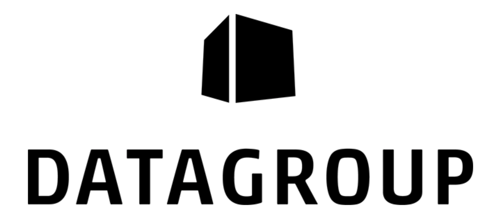 datagroup-logo-sw